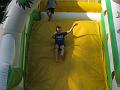 minizoo 07